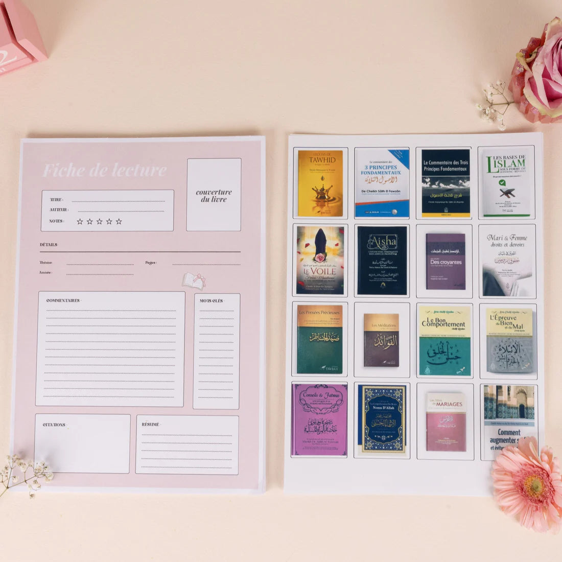 Fiches de lecture