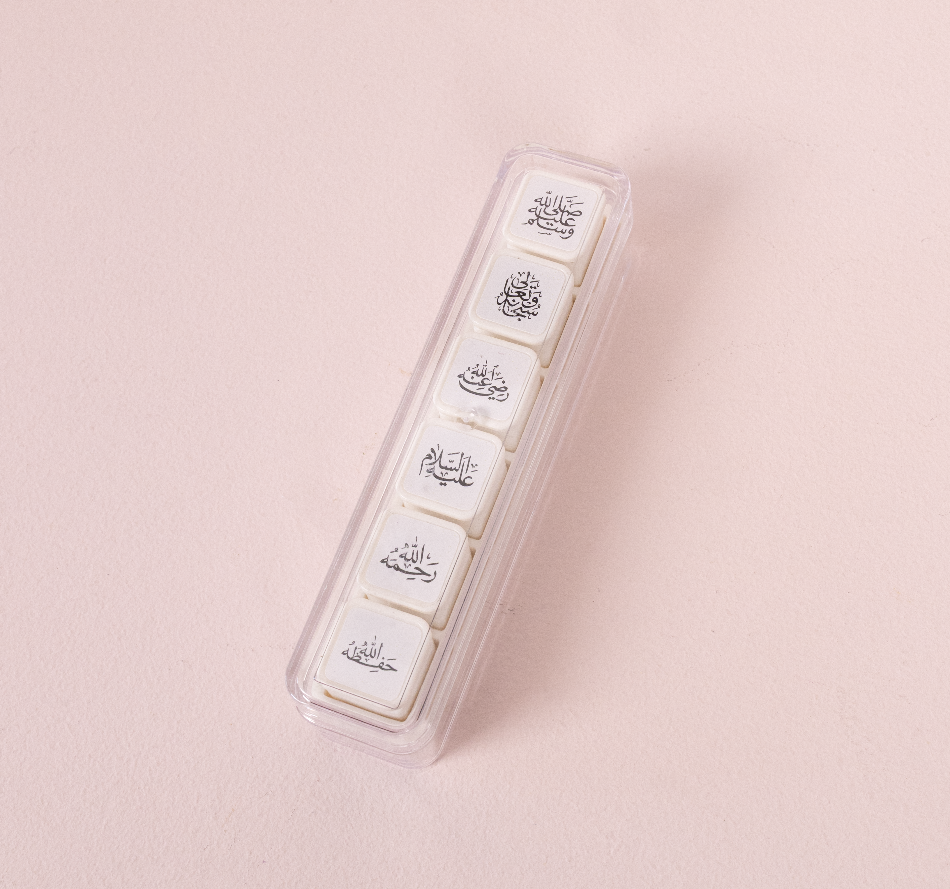 Set de Tampons 6-en-1 | Édition طالبة علم (Étudiante en science)