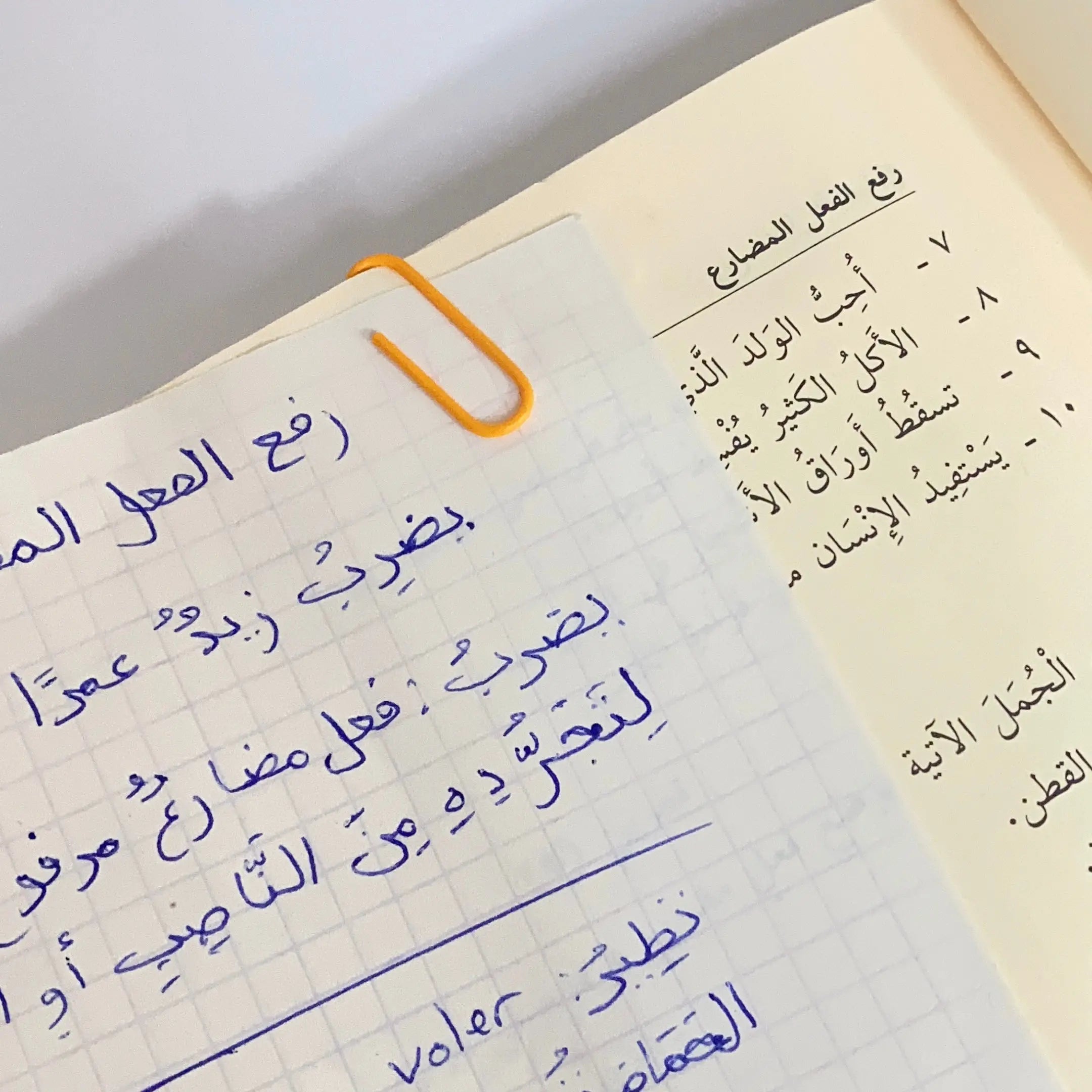 Boîte de trombone Tayseer